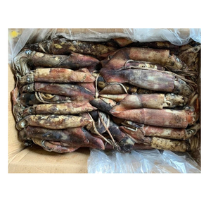 ปลาหมึกดำแช่แข็ง - ผู้จัดจำหน่ายปลาหมึกดำขายส่งจำนวนมาก - Product Image 6