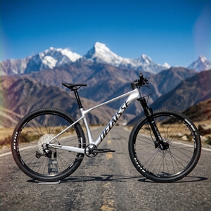 <span class=keywords><strong>Bicicleta</strong></span> de Montaña MTB de Fibra de Carbono, Cuadro Rígido, Frenos de Disco, 12 Velocidades, Ligera, 29er XC - Product Image 1