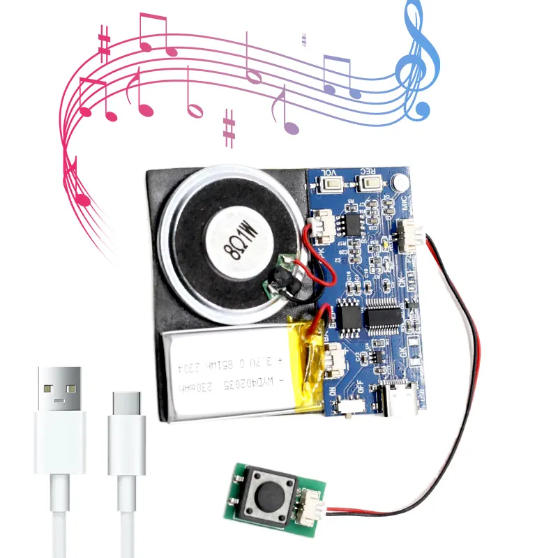 Mini pulsante di auguri di controllo del suono del chip di tipo C-USB musica registrabile suono del chip del suono del modulo per biglietti di auguri