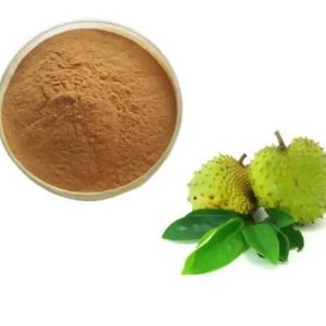 Poudre de graviola lyophilisée de haute qualité bon prix poudre de fruit de corossol naturel pour l'exportation - Product Image 1