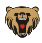 Chengdu Xinzheng Jinxin Trading Co., Ltd.