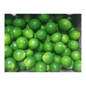 Limones y limas versátiles fabricados en Vietnam, Lima fresca/Lima verde natural de alta calidad - Product Image 6
