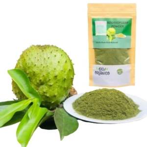 Poudre d'extrait de feuille de corossol de qualité supérieure en gros du Vietnam 100% poudre végétalienne de feuilles de graviola de corossol naturel - Product Image 4