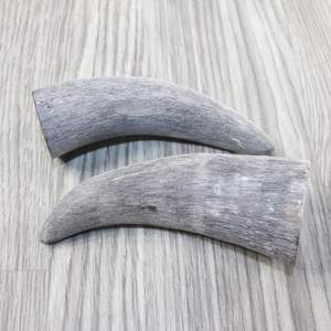 Puntas de cuerno de vaca de buey de búfalo pulido de alta calidad, estilo Animal tallado único, artesanía, decoración de cuerno crudo Natural - Product Image 4