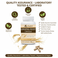 Capsules de ginseng Panax Kangherb, best-seller, riches en ginsénosides pour l'énergie et les performances, 60 capsules végétaliennes de ginseng