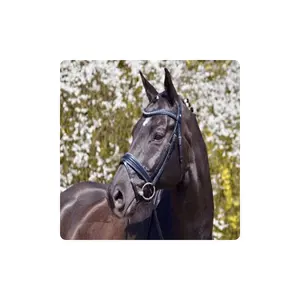 Exporter of High Quality Leather Bridle Manufacturer Custom Comfort XS Snaffle Bridle smart folding foldable Portable