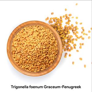 Meilleur prix poudre d'extrait de graines de fenugrec extrait de plante de la plus haute qualité - Product Image 1