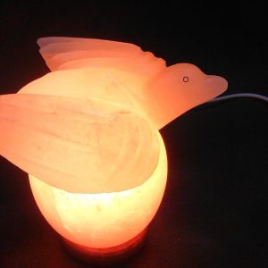 Ensemble de lampes au sel de l'Himalaya en forme d'animal GMP-Affirmed OEM Ampoule à cordon électrique sculptée organique écologique pour la décoration de la maison et la santé - Product Image 3