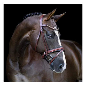 Indian Manufacturer Arabella-bride en cuir hansurien-marron chêne - Product Image 2