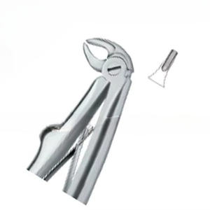 Forceps d'extraction de dents Fig.5 Instruments dentaires en acier inoxydable de haute qualité avec logo personnalisé de qualité supérieure - Product Image 1