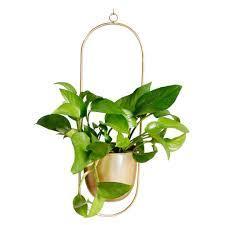 Cuencos dorados modernos de lujo para interiores y exteriores, macetas y macetas colgantes decorativas con balcón, decoraciones para el hogar para jardín en venta - Product Image 2