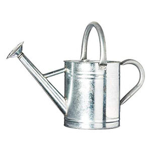 Regadera galvanizada de alta calidad, lata de agua hecha a mano con estilo indio, diseño tradicional, venta al por mayor, caña de riego de lujo - Product Image 2