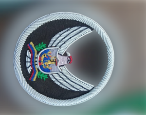 Patchs brodés faits à la main Offre Spéciale du fabricant de badges aigle noir et blanc personnalisables de haute qualité - Product Image 3