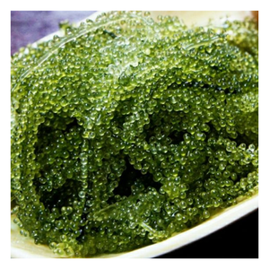 Uvas marinas deshidratadas naturales orgánicas Algas marinas de Vietnam Estilo fresco sazonado Empaquetado en bolsa-Caryln 0084935825297 - Product Image 1