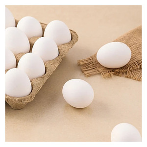 Suministro a granel Granja Huevos de mesa frescos Huevos de gallina marrón y blanco de primera calidad al por mayor - Product Image 5