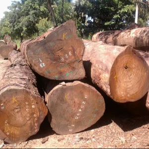 High Grade Hardwood <b>Logs</b> For Sale - Product Image 1