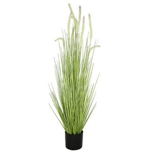 Hierba 120cm - Product Image 1