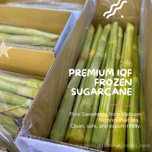 Segmentos de Caña de Azúcar Congelados LQF (Palitos Dulces Naturales) Grado de Exportación a Granel de Vietnam por KIM MINH - Product Image 5