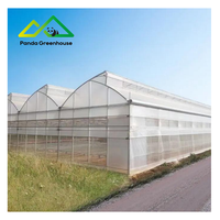 Meestverkochte grote zaagtandvormige multi-span PE poly kassen met hoog-efficiënt natuurlijk ventilatiesysteem voor tropische en subtropische gewassen