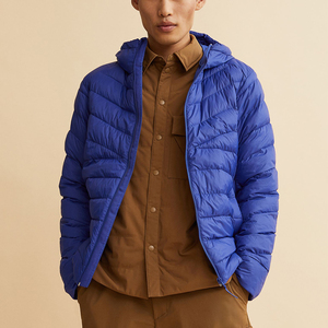 Veste d'hiver lourde pour hommes avec capuche Manteau épais à bulles en toile avec motif décoratif Vente par motif - Product Image 2