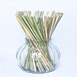 Pajitas de Hierba, Material Sostenible para Bebidas Frías, Suministro al por Mayor con Cotización Atractiva para Compradores Globales - Product Image 6