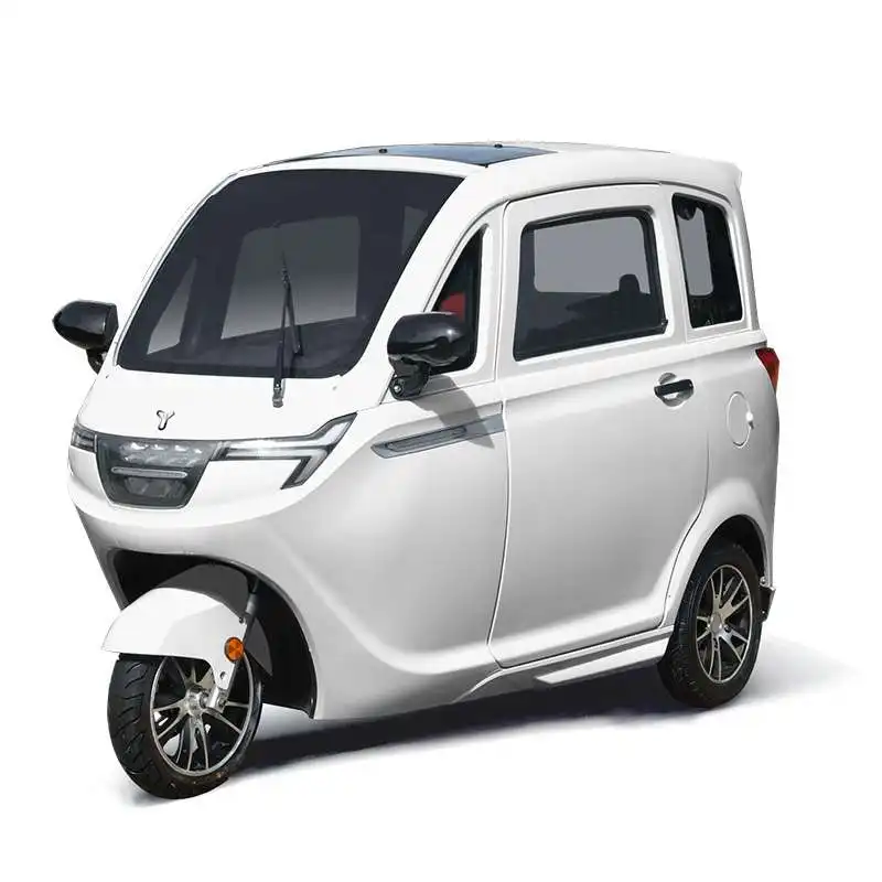 Novedad de 100%, triciclo eléctrico para adultos, vehículo de 3 ruedas, scooter de movilidad familiar, coche Tuk a la venta personalizable