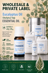 Bulk Pure Eucalyptus Essential <b>Oil</b> Eucalyptus Globulus Steam Distilled Wholesale Private Label OEM <b>Diffuser</b> Sauna Steam Room ODM - Product Image 3