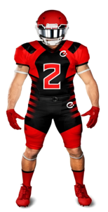 Uniforme de fútbol americano al por mayor kits de fútbol personalizados uniforme de fútbol americano por encargo de la mejor calidad - Product Image 5