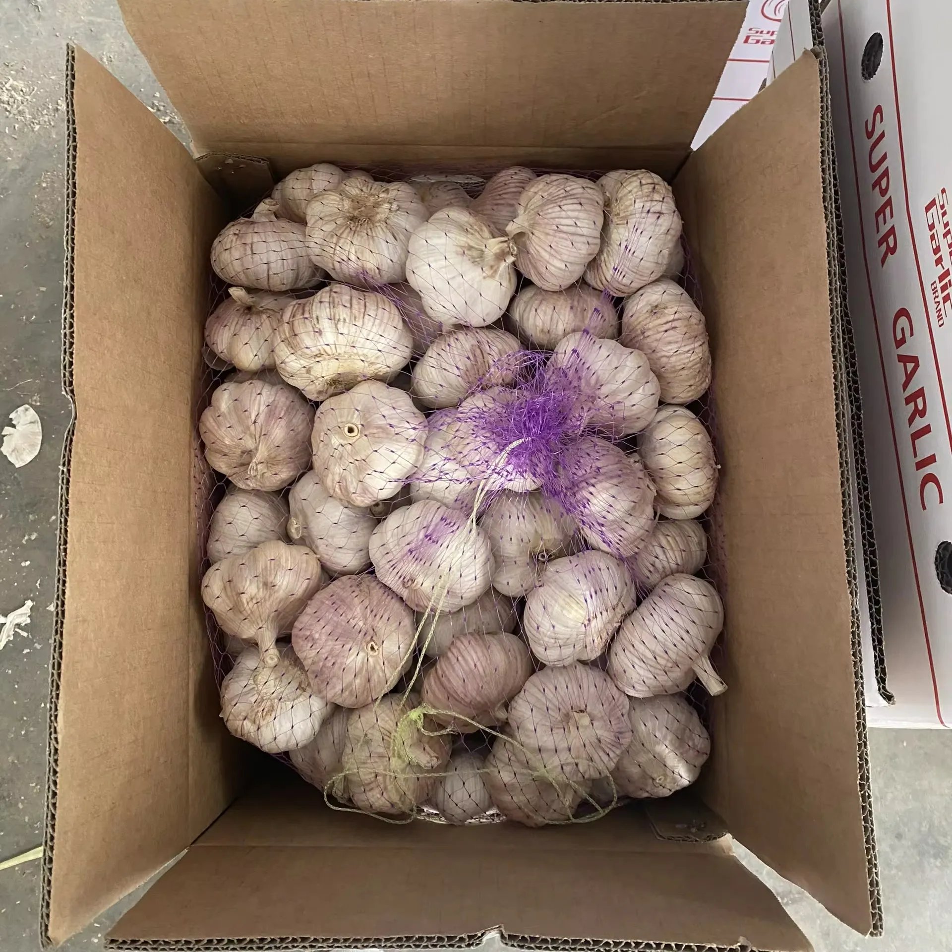 Fresh Garlic New Crop 2024 Red and Pure White Garlic From Bac Giang Vietnam/ Bulk Garlic for Sale
