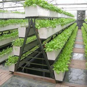 Sistemas Hidropónicos de Grado Comercial y Torre Aeropónica para Soluciones de Producción de Cultivos en Interiores Sostenibles - Product Image 1