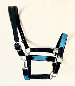 Haute qualité Durable personnalisé anglais selle cheval licou doux rembourré cuir Nylon Logo personnalisé divers modèles couleurs - Product Image 4