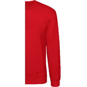 Sudadera de Cuello Redondo con Logotipo Personalizado para Hombre, 100% Algodón, Sólida, Ecológica, Transpirable, de Invierno, de Alta Calidad - Product Image 5