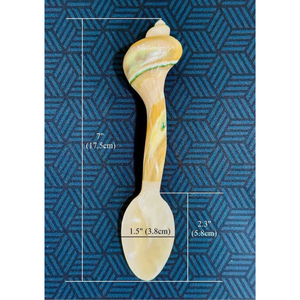 Cuillère en nacre de luxe: vente en gros, cuillères à coquillages et à conque réutilisables et écologiques, artisanat de haute qualité - Product Image 2