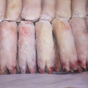 Pies delanteros de cerdo congelados a la venta - Product Image 1