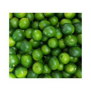 Meilleur prix pour les citrons frais cultivés au Vietnam-Citrons sans pépins d'excellente qualité avec beaucoup de jus - Product Image 5