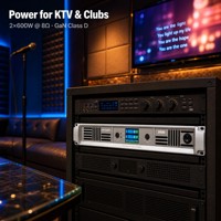 Amplificateur de puissance numérique de classe D GaN série D FFR AUDIO
