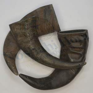 Noshahi, cuerno de búfalo natural de alta calidad, juguetes para masticar perros, hechos en la India para mercados extranjeros - Product Image 5