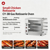 Rôtissoire à poulet professionnelle au gaz, 3/5/7 broches, en acier inoxydable, avec protection contre l'extinction de la flamme