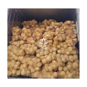 NOIX DE COCO DE QUALITÉ SUPÉRIEURE, QUALITÉ PRÉTIERNE POUR UN SERVICE DE BOISSONS FRAÎCHES ET UN MATÉRIAU DURABLE POUR LA CONCEPTION DE PRODUITS DE DÉCORATION INTÉRIEURE UNIQUES - Product Image 1