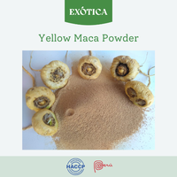 Extracto Herbal Orgánico de Alta Calidad en Polvo Amarillo, 100% Puro, para Suministro Directo al por Mayor