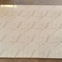 Carreaux de sol en céramique 30x30 cm revêtement de sol durable design élégant 300 MM X 300 MM surface brillante imprimée numériquement