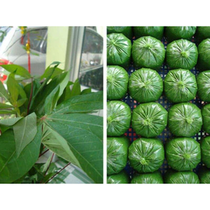 Feuilles de manioc fraîches congelées IQF pour les commandes en gros de l'industrie alimentaire Vietnam - Product Image 5