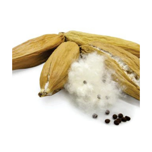 VENTE DE KAPOK POD BON MARCHÉ D'UN FOURNISSEUR VIETNAMIEN QUI SONT DE BONNE QUALITÉ/Mme Thi - Product Image 2