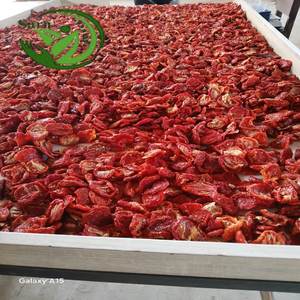 Tomates secos al sol de primera calidad, vegetales orgánicos de Egipto - Product Image 1