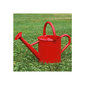 Arrosoir galvanisé de qualité supérieure forme ronde bidon d'eau en gros concepteur créatif fait à la main meilleur arrosoir - Product Image 3