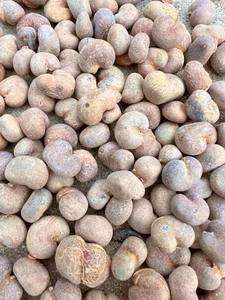 Extracto de Fruta Silvestre de Baobab Africano en Polvo para la Venta +27739729209 - Product Image 5