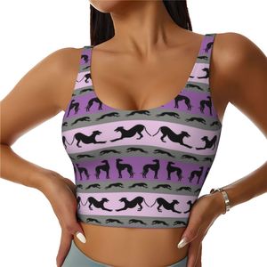 Camisetas sin mangas de entrenamiento personalizadas Greyhound Puppy para mujer, sujetadores deportivos sin costuras de talla grande sólido para Yoga, correr, Whippets, Sighthounds - Product Image 1