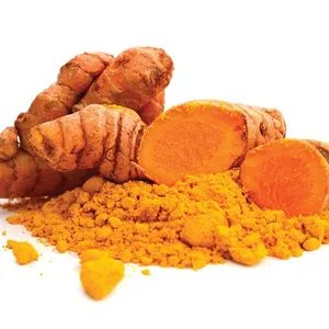 Prix de gros de la poudre d'extrait de curcuma naturel et biologique de poudre de curcumine de l'Inde