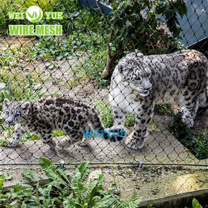 Red de malla de cuerda de alambre férula de acero inoxidable 304 316 flexible negra tejida <span class=keywords><strong>para</strong></span> barandilla Zoo Mesh corte personalizado disponible - Product Image 6