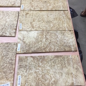 Exotic <strong>Golden</strong> Camphor <strong>Burl</strong> <strong>Veneer</strong> - Product Image 6